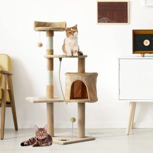 Artículos para Gatos